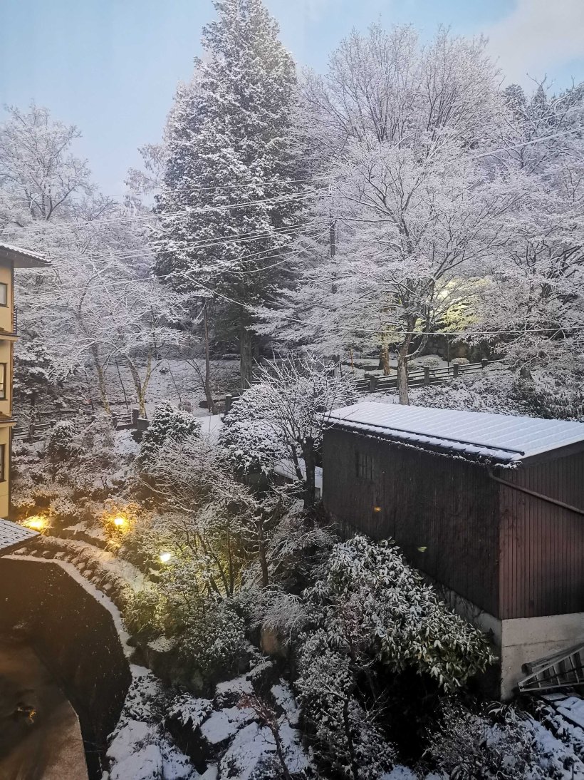 宝生阁酒店-酒店景观