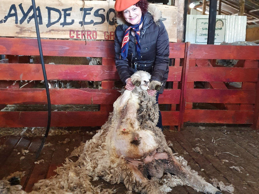 Fundo don Gerardo-Coyhaique必去景点