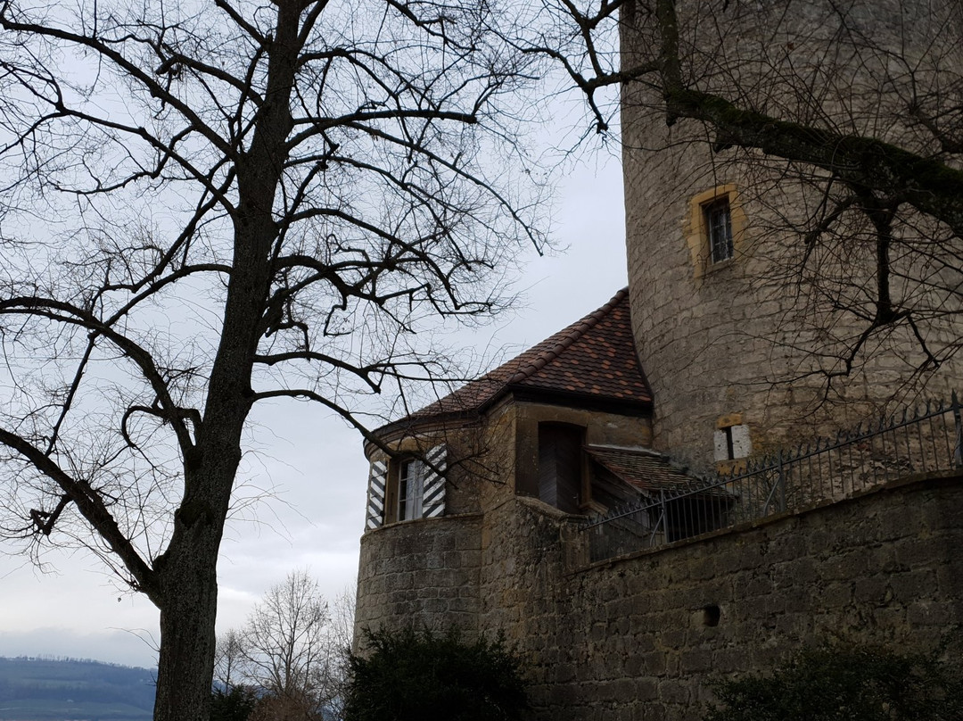 Musée de Morat-Murten必去景点
