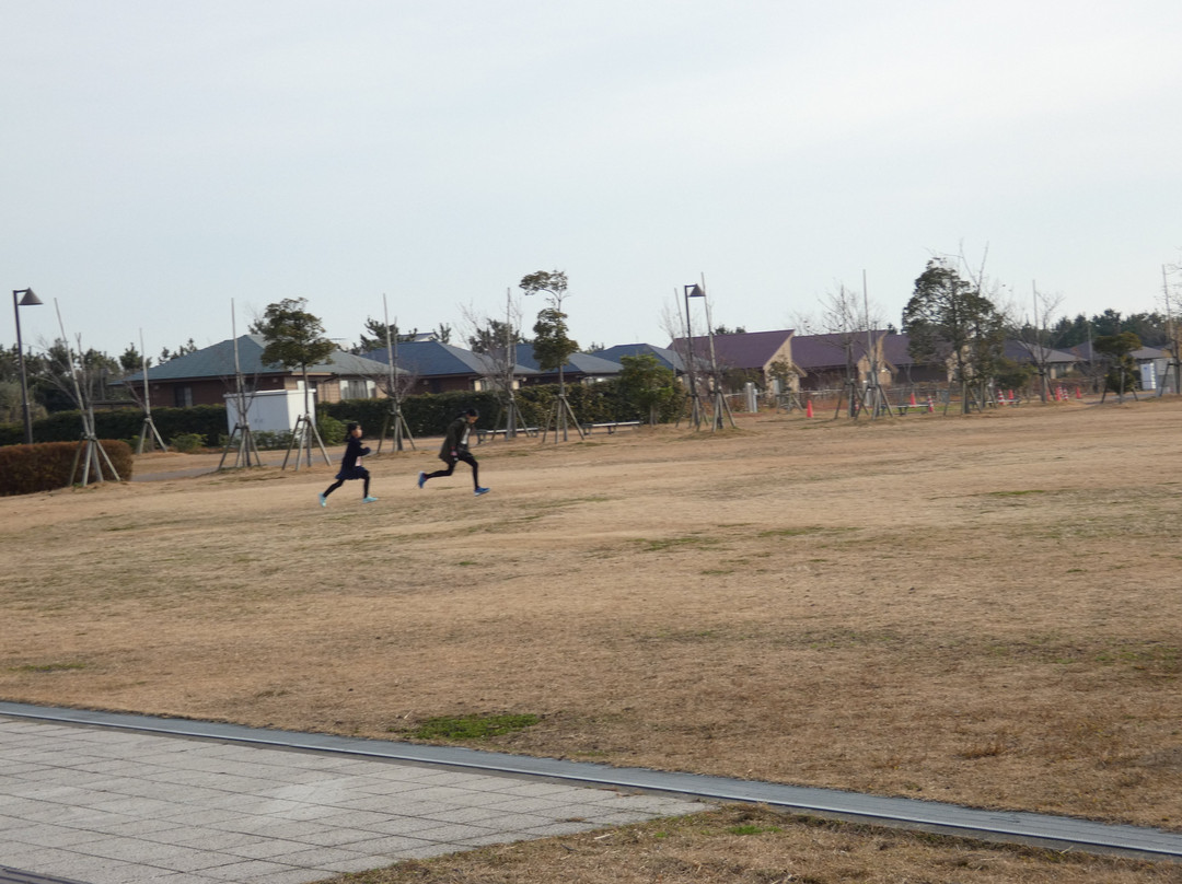 Tsukimigaoka Seaside Park-松茂町必去景点