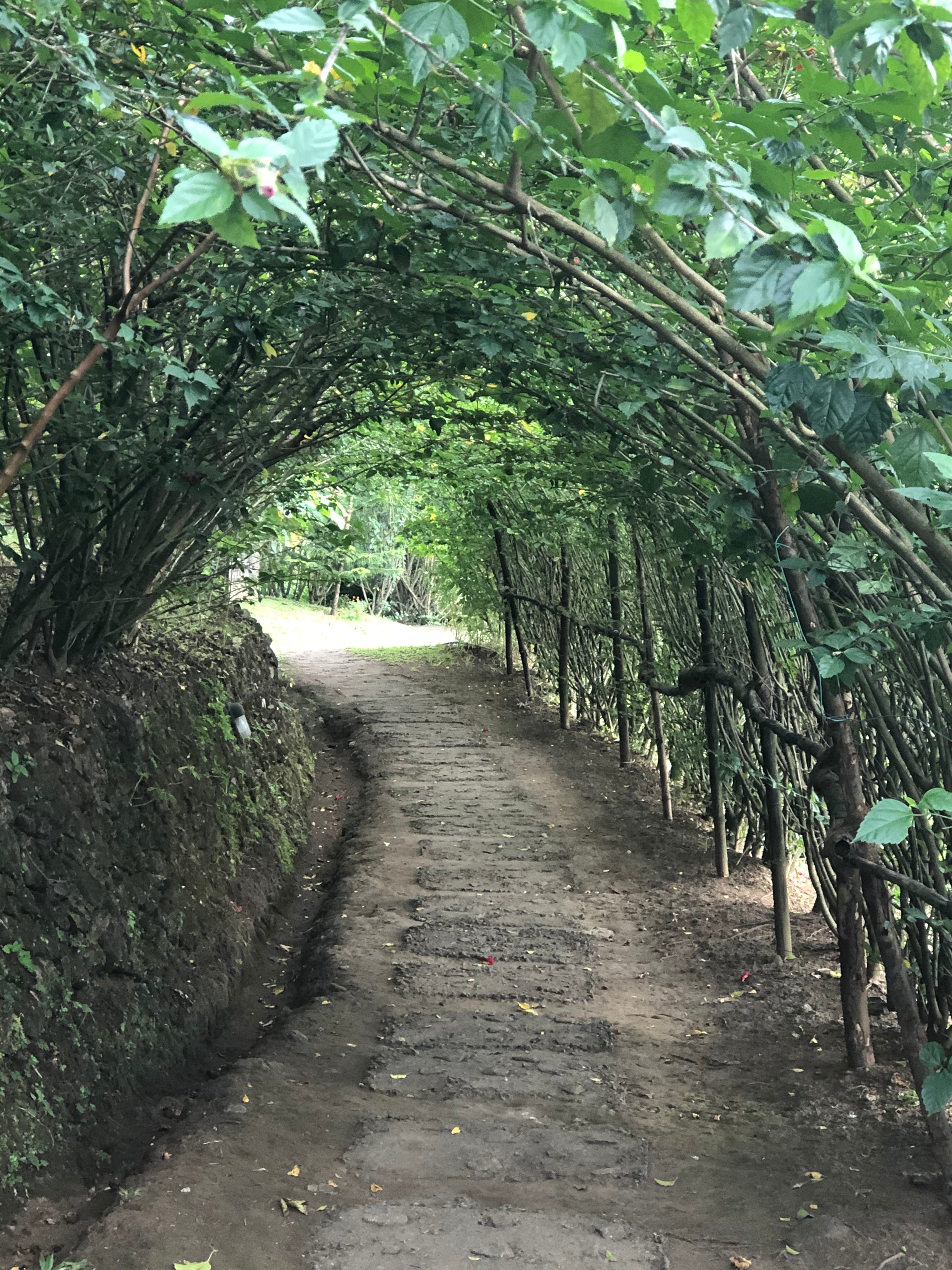 Spice Tree Munnar-浴室