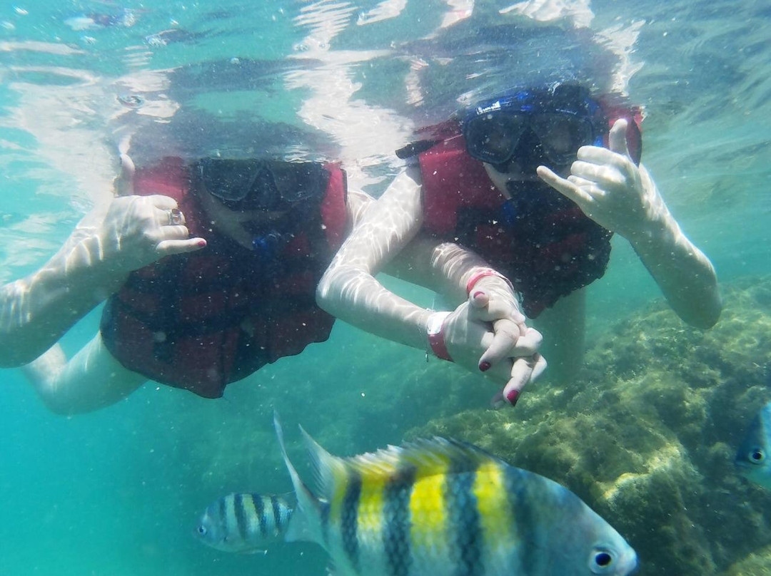 Submerso Scuba Diver-嘎林海斯港必去景点