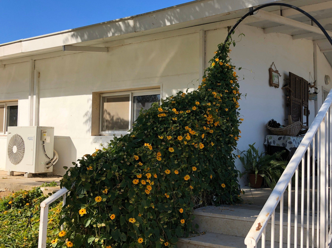 Iza Pziza Dairy-Tal Shahar必去景点