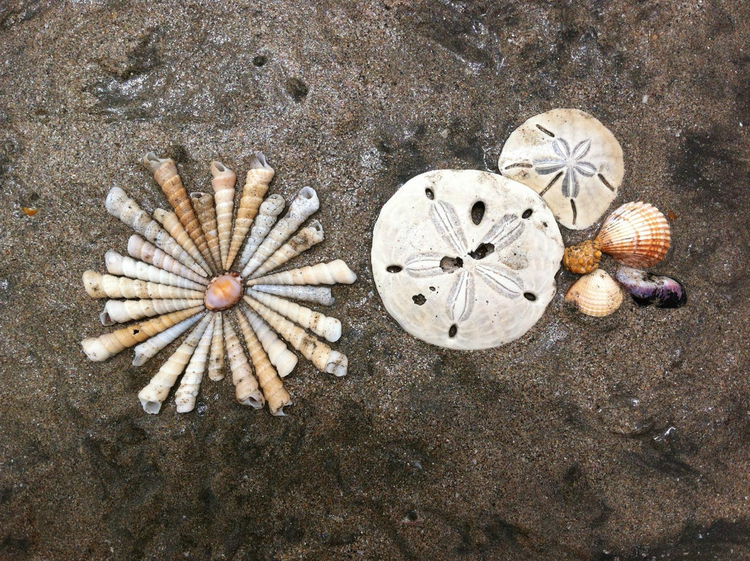 Hotel El Manglar主图