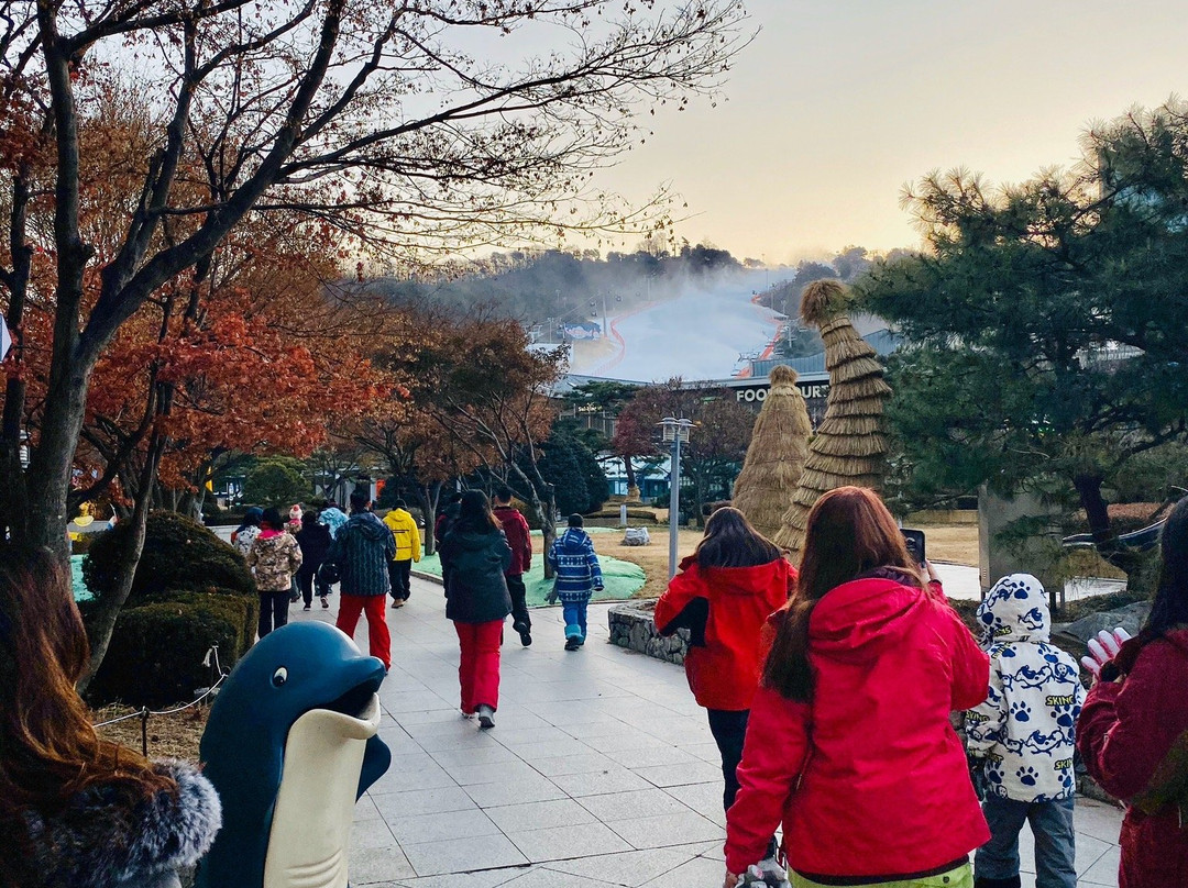 Vivaldi Park Ocean World-洪川郡必去景点