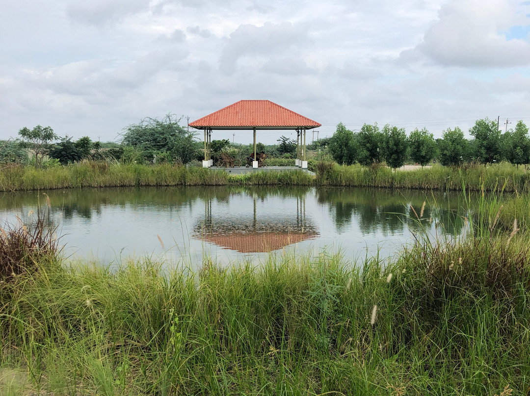 Blackbuck Safari Lodge主图