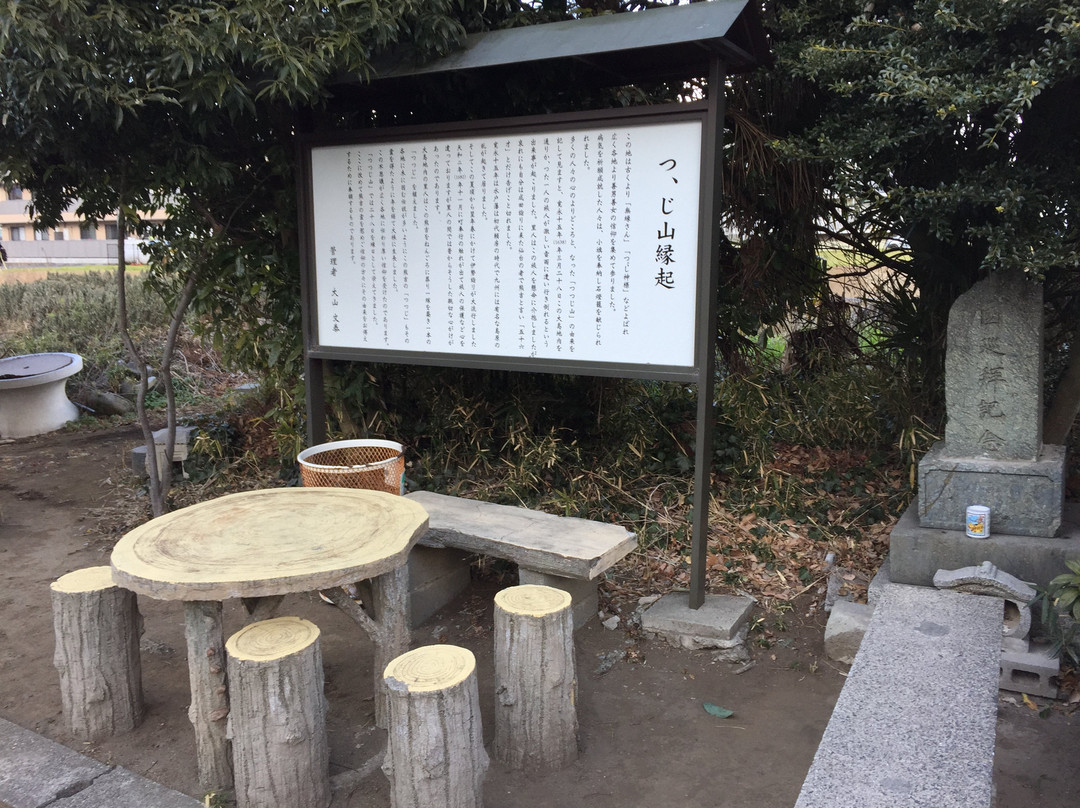 Tsutsujiyama景点图片