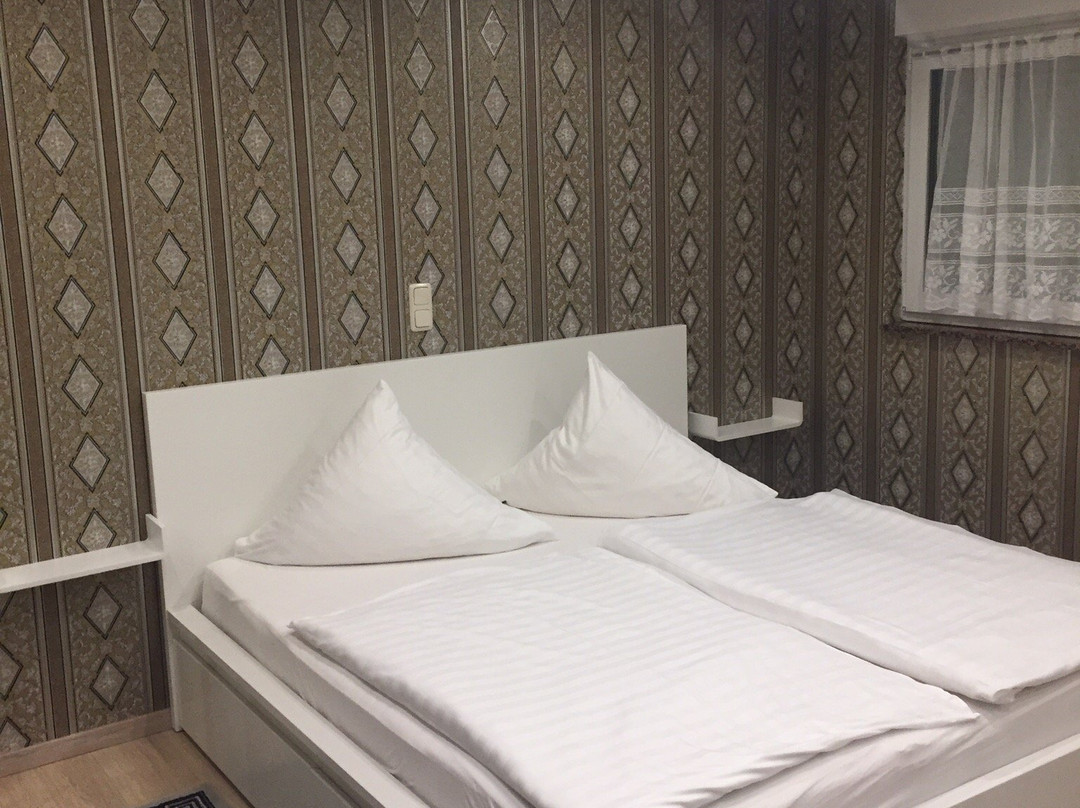 Top Hotel Edingen主图