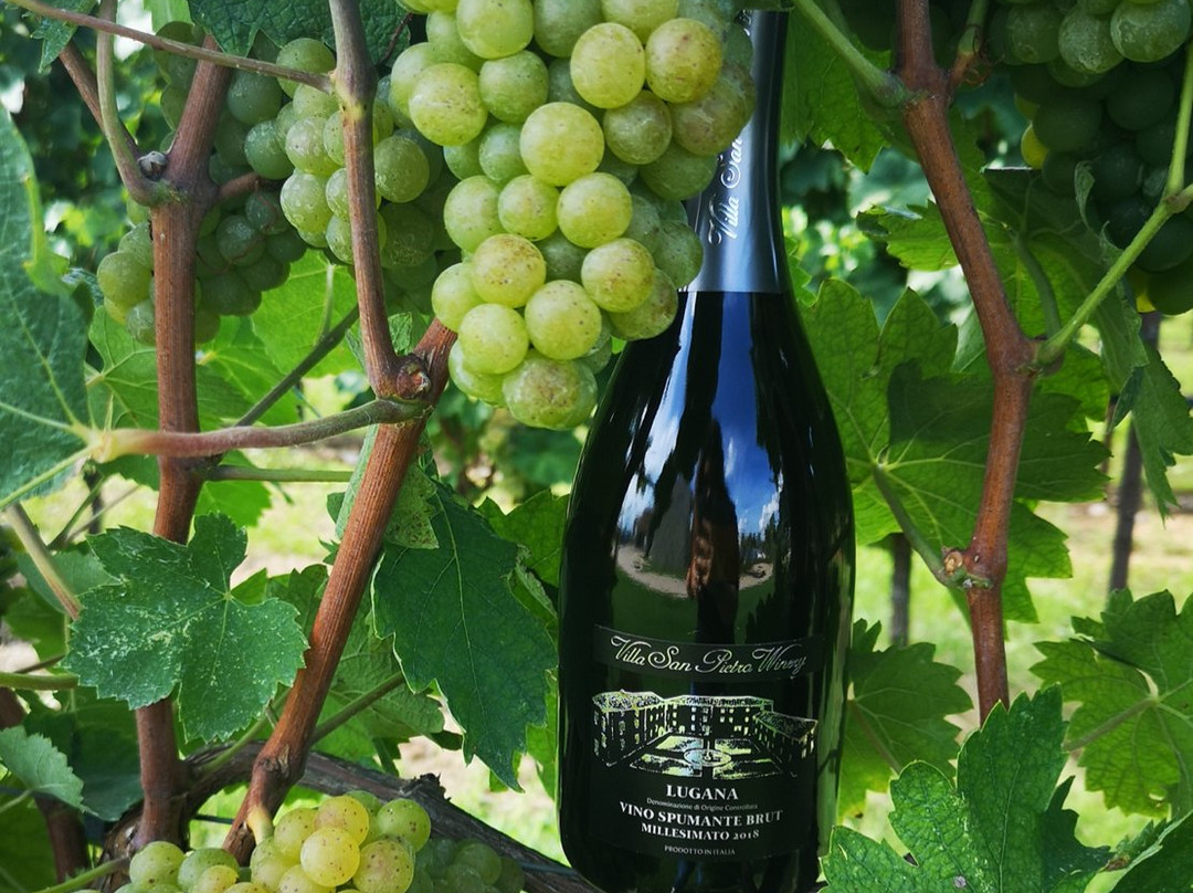 Villa San Pietro Winery-Bure必去景点
