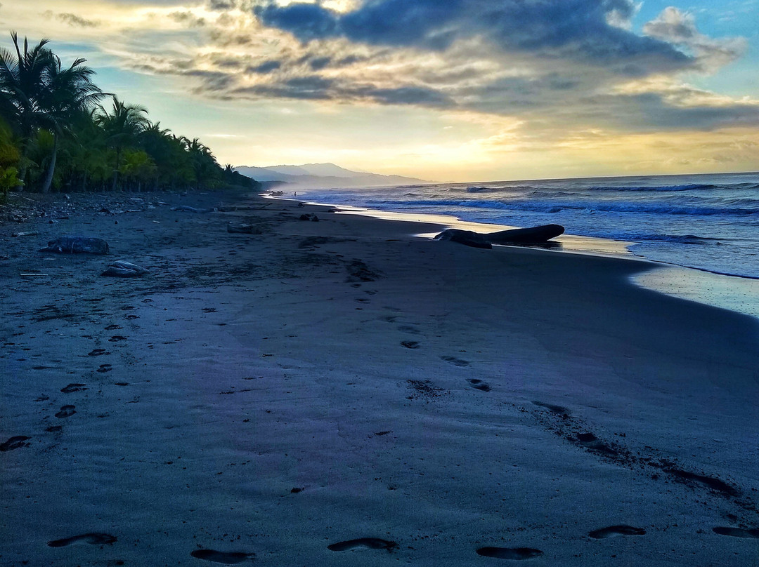 Coco Beach Village主图