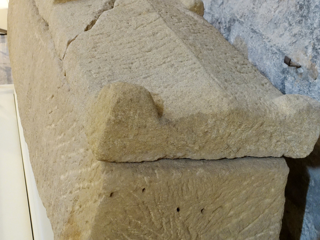 Museu d'Arqueologia de Catalunya景点图片