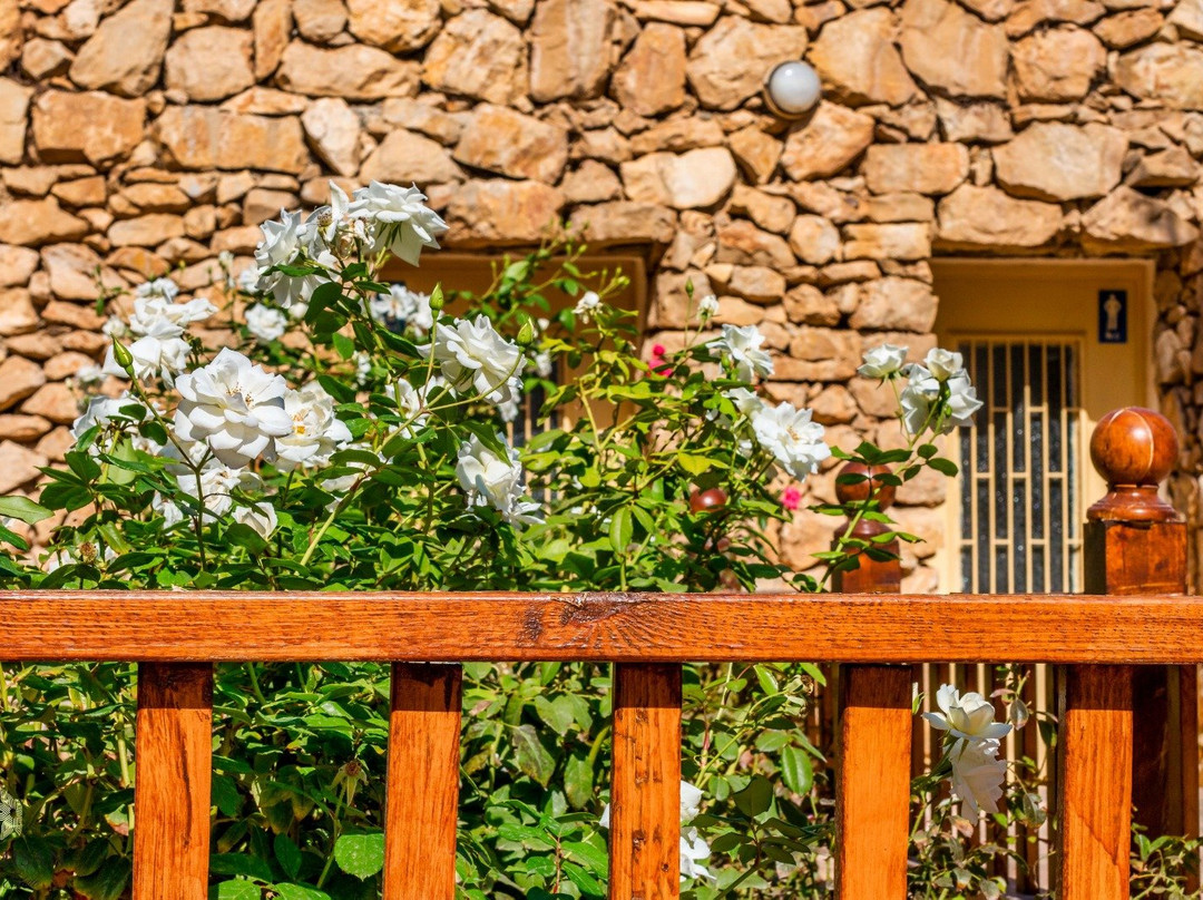 Cremisan Monastery-Beit Jala必去景点