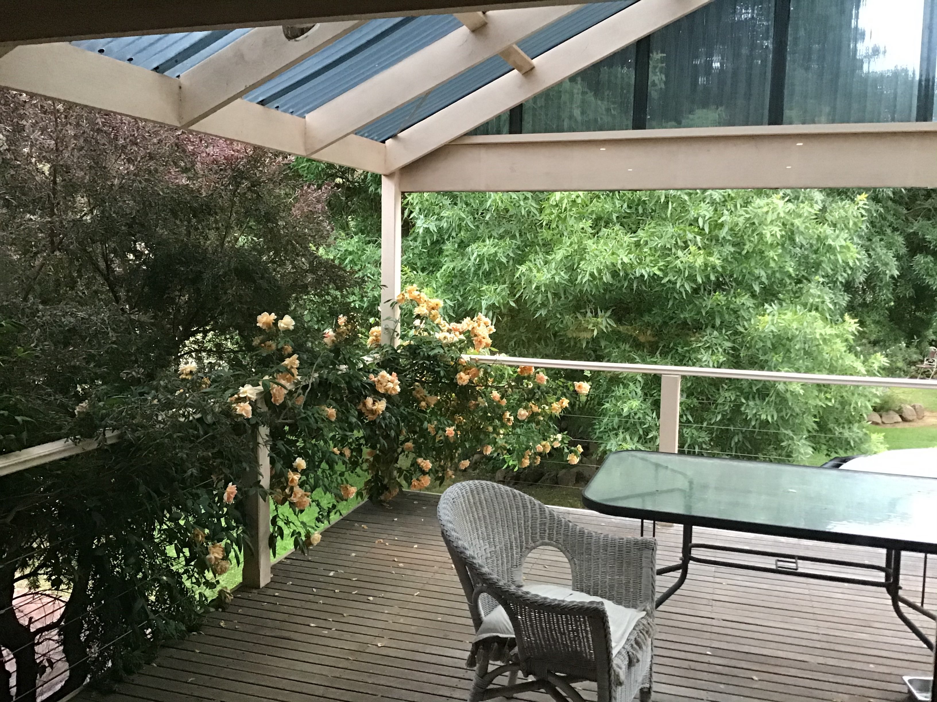 Peppermint Springs Retreat & Day Spa-酒店景观