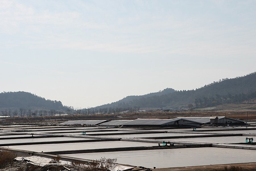 Taepyeong Salt Farm