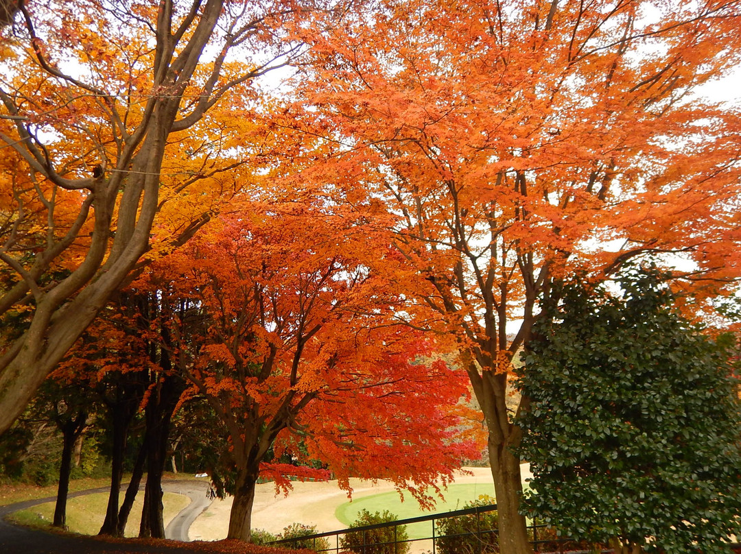Oyamada Park-町田市必去景点