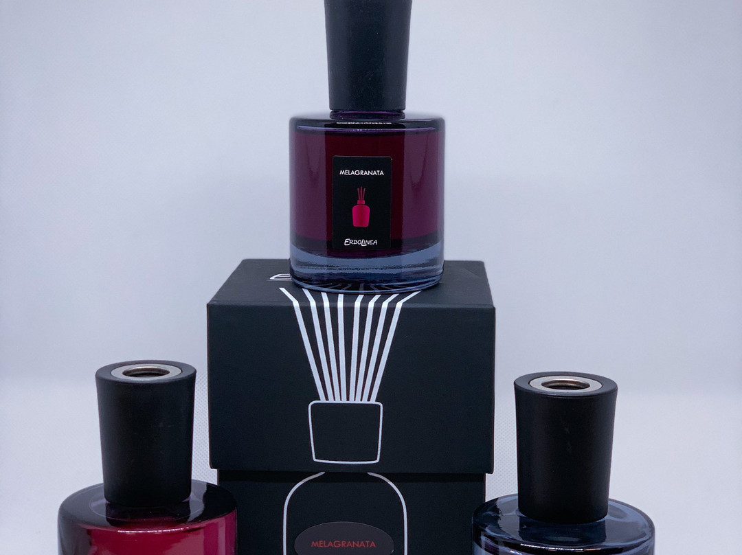 Giorgia Bomboniere-诺瓦拉必去景点