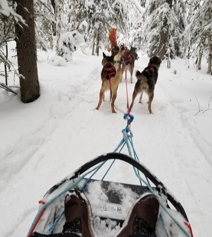 Friendly Arctic Adventures景点图片