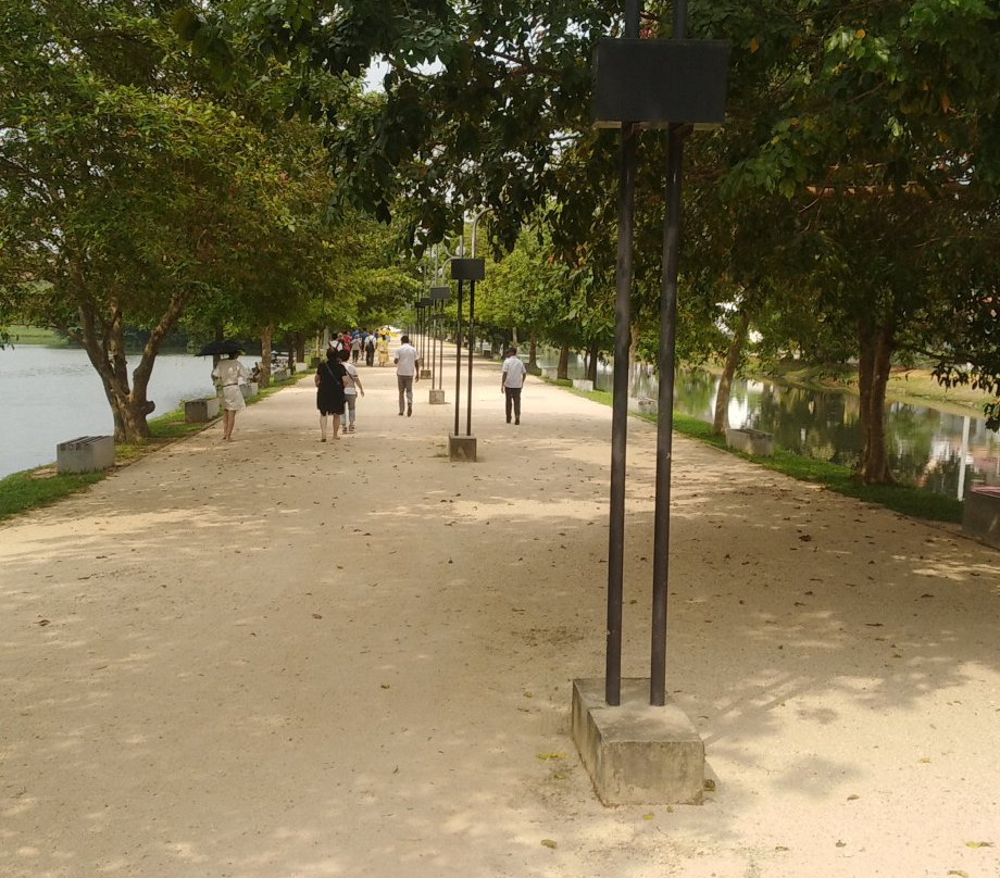 Urban Wetland Park景点图片