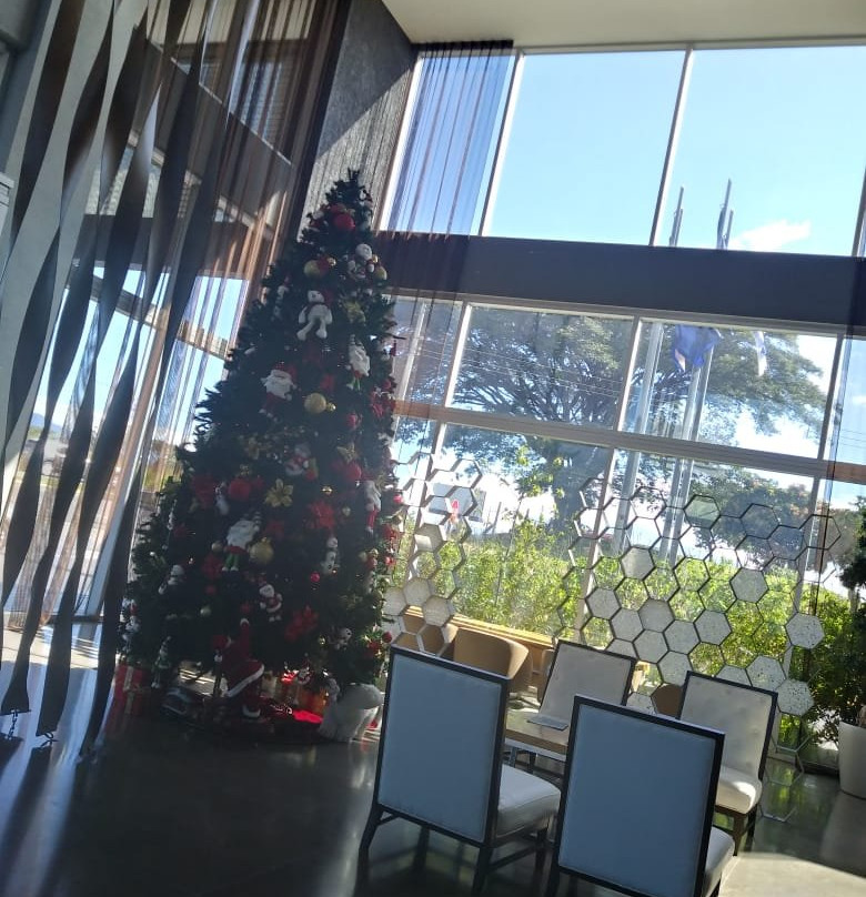 Sheraton San Jose Hotel, Costa Rica主图