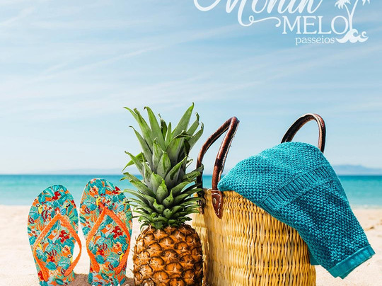 Monik Melo Passeios-嘎林海斯港必去景点