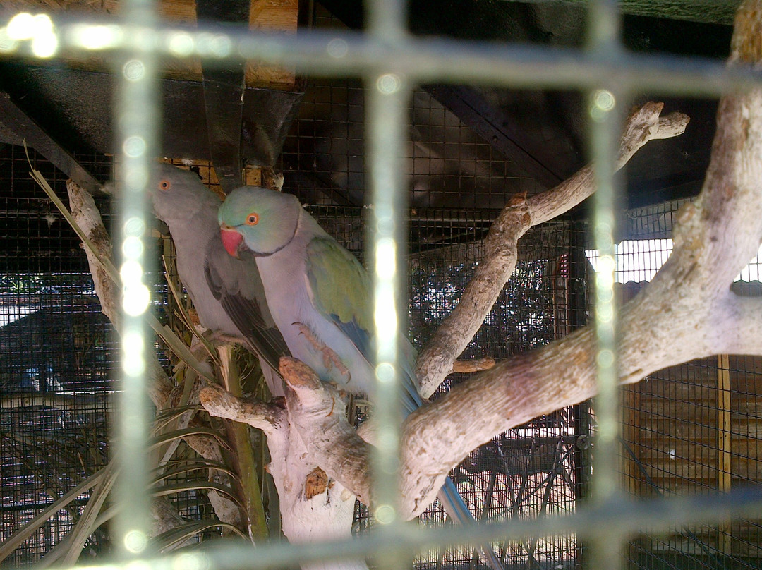 Amora Bird Park-米德尔堡必去景点