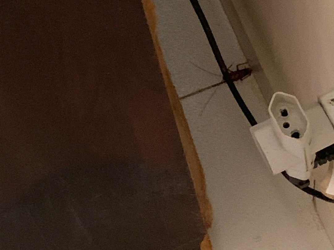 Pousada Aguas do Pirui主图