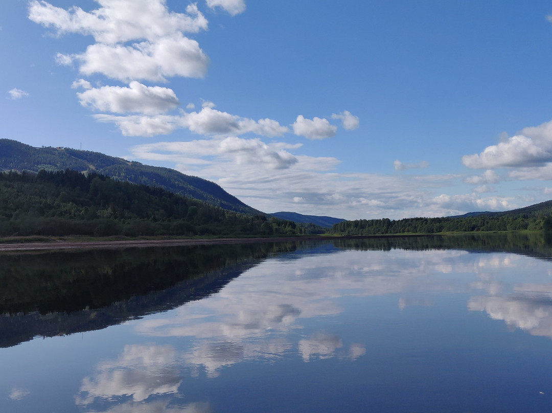 Vildmark i Värmland-Torsby必去景点