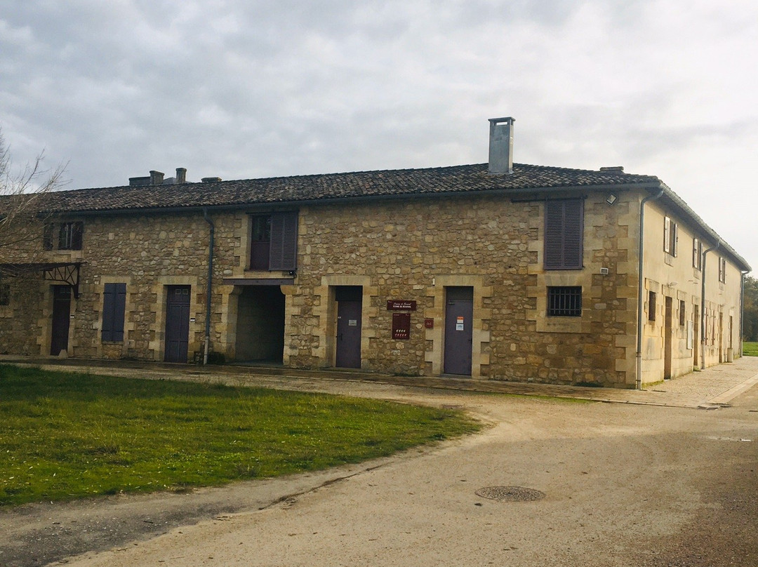 Domaine de Beauval景点图片