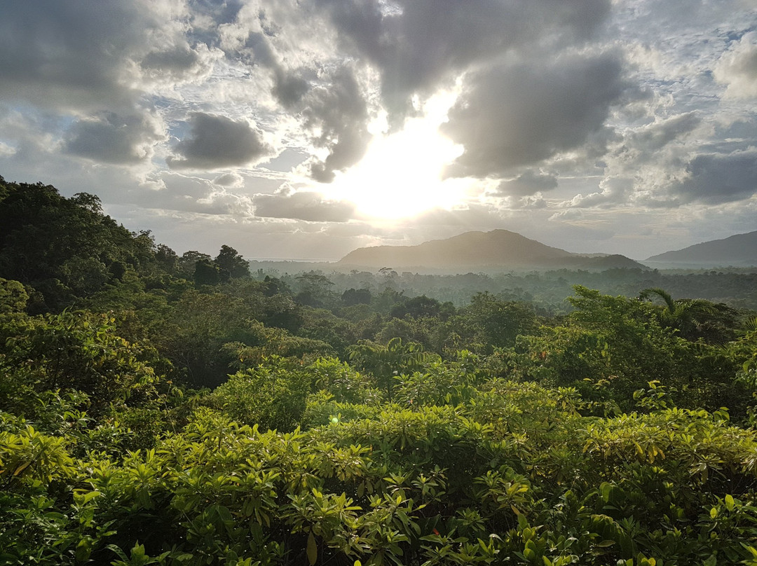 Cockatoo Hill Retreat主图