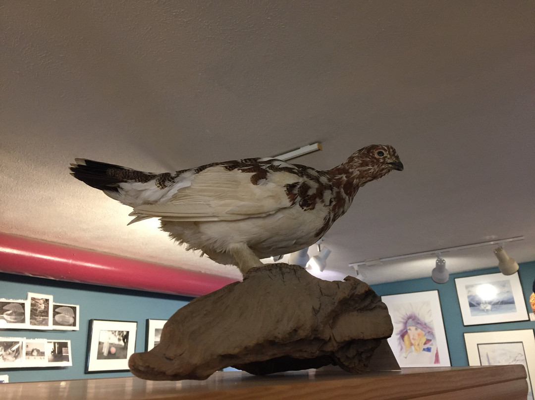 Ptarmigan Arts-荷马必去景点