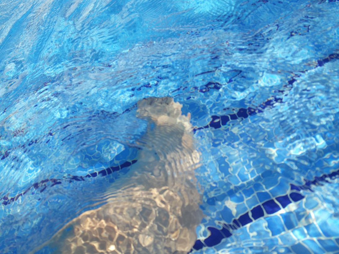 卡斯特德菲镇酒店主图