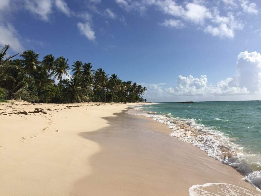 Feuillere Beach-Capesterre必去景点