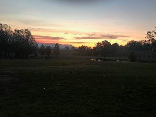 Rothbury Escape主图