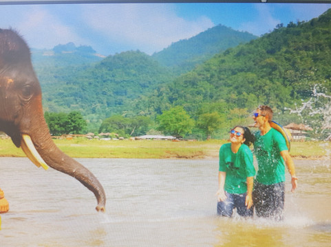 Woody Elephant Sanctuary-夜登必去景点