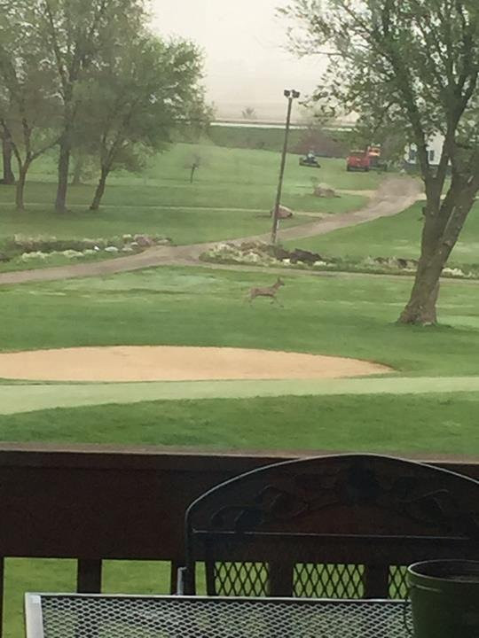 Creekview Par Three-Edgerton必去景点