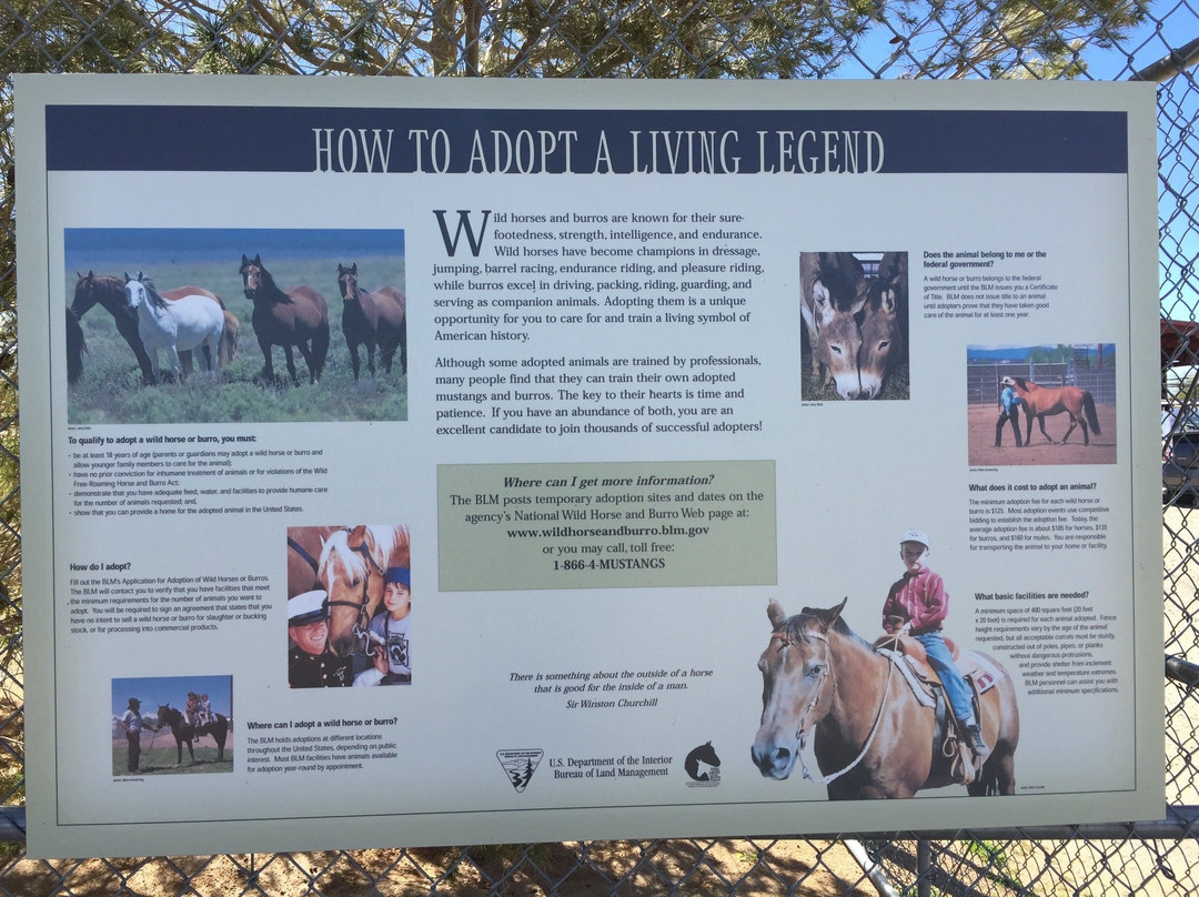 Ridgecrest Regional Wild Horse and Burro Corrals景点图片