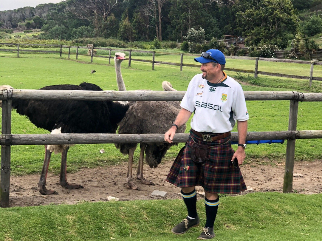 Taylor-Made Adventures-Cape Winelands District Municipality必去景点