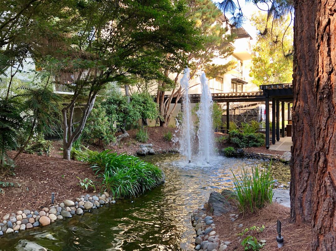 帕洛阿尔托喜来登酒店主图