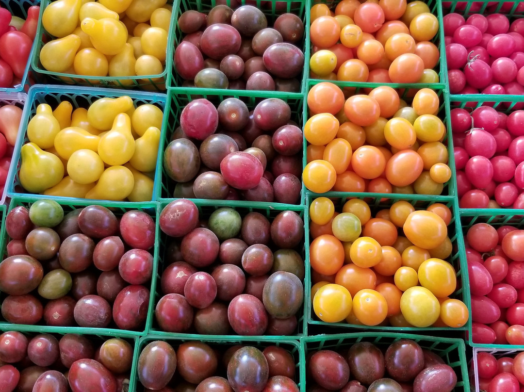 Underwood Family Farms - Moorpark-Moorpark必去景点