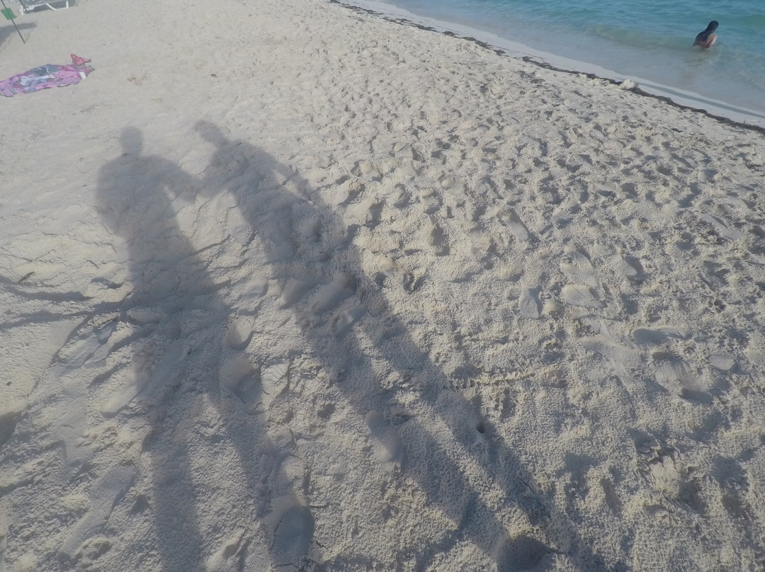 Posada Sunshine Paradise主图