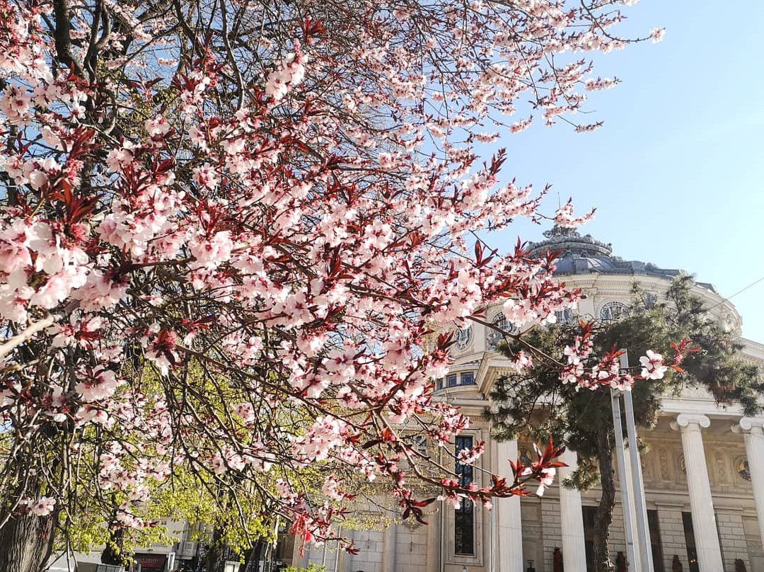 Bucharest Vibes-布加勒斯特必去景点