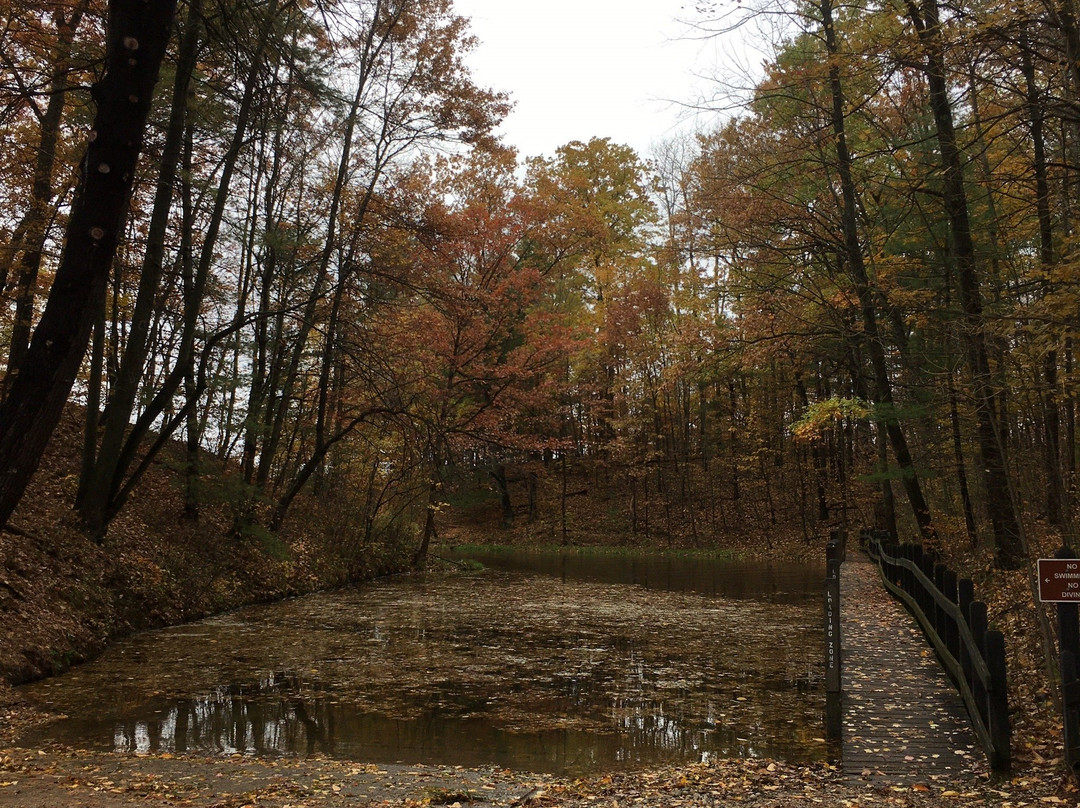 Newaygo State Park景点图片