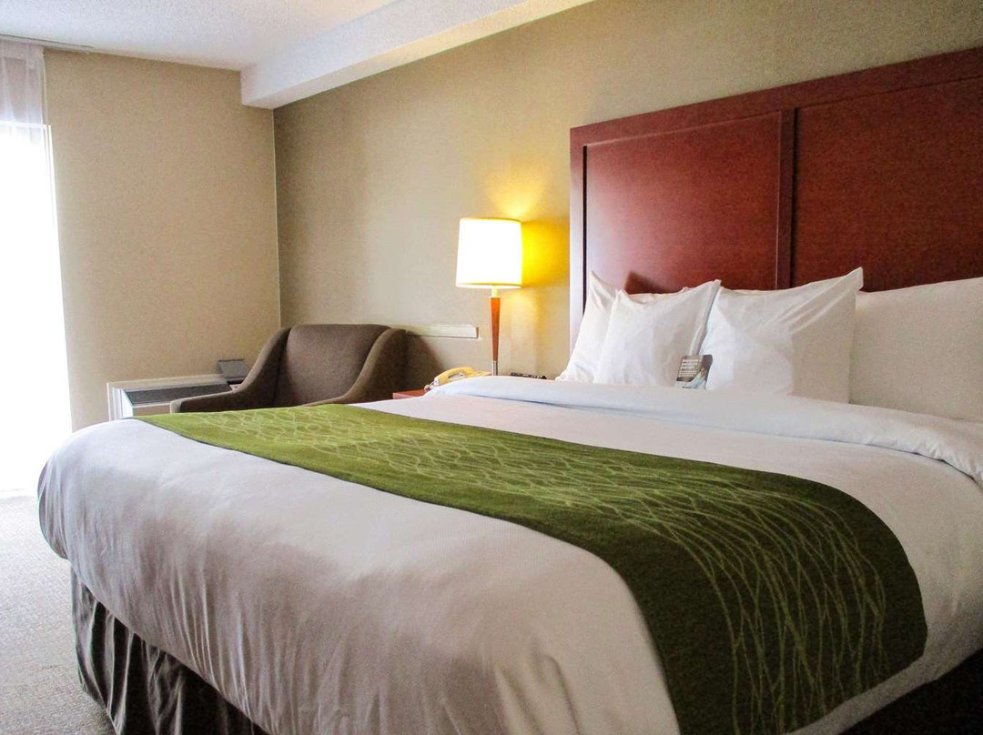 Comfort Inn - Dartmouth主图