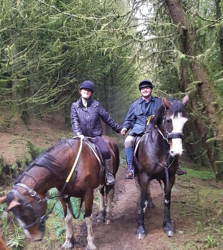 Devil's Bit Pony Trekking-Templemore必去景点