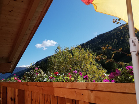 大自然公寓主图