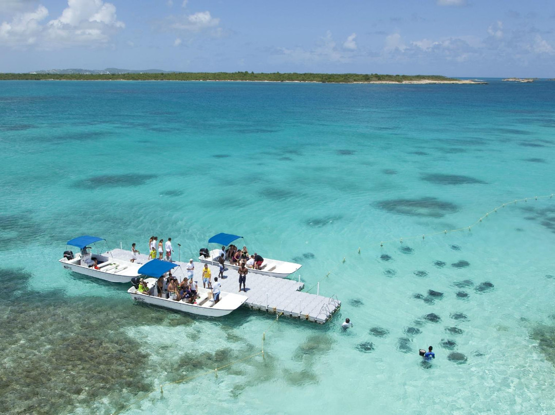 Stingray City-安提瓜必去景点