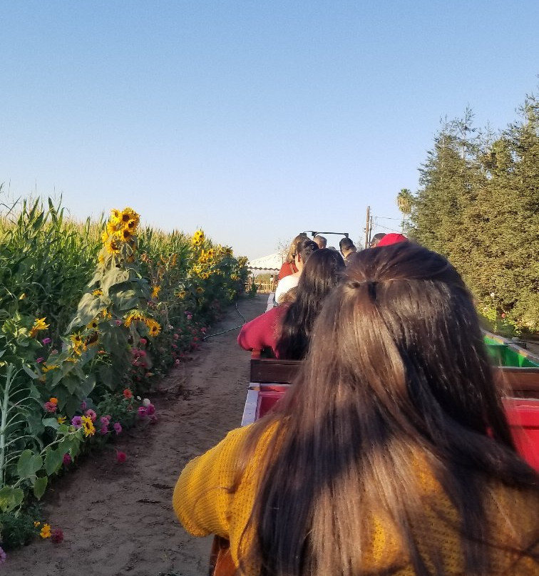 Hunter Family Farms-Atwater必去景点