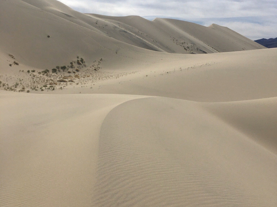 Eureka Dunes-死亡谷国家公园必去景点