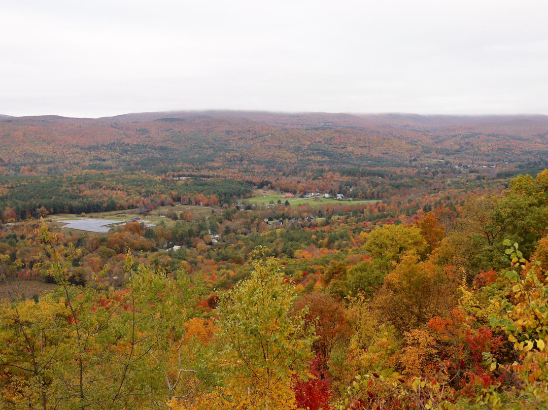 Rowe旅游攻略图片