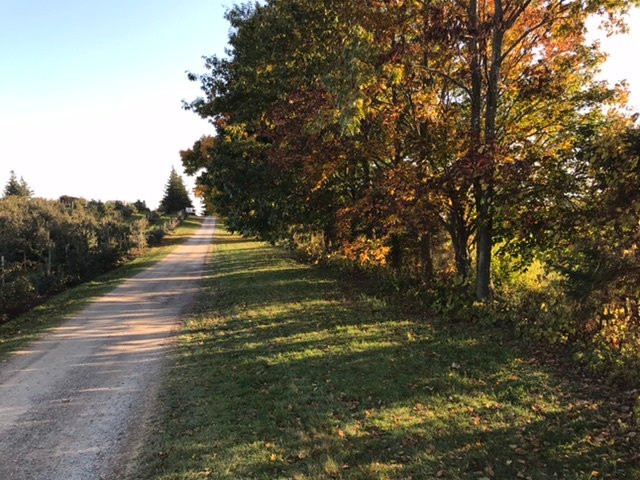 Orchard Home Farm-St. George必去景点
